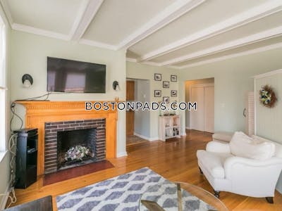 Brighton Apartment for rent 1 Bedroom 1 Bath Boston - $3,100 No Fee