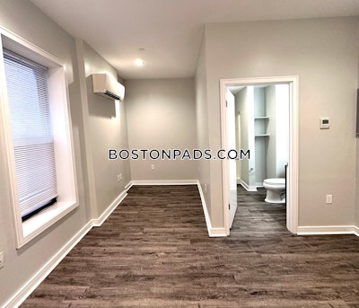 Worcester Apartment for rent Studio 1 Bath - $1,250 No Fee