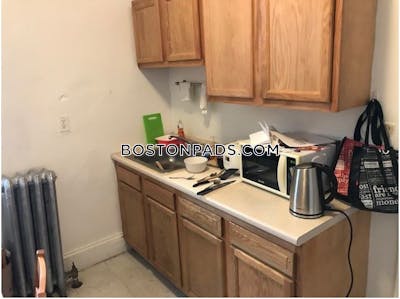 Allston/brighton Border Apartment for rent 1 Bedroom 1 Bath Boston - $2,465 No Fee
