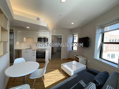 Cambridge Beautiful Studio 1 Bath  Harvard Square - $3,950 50% Fee