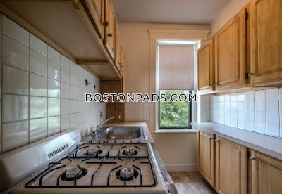 Allston Apartment for rent 1 Bedroom 1 Bath Boston - $2,475
