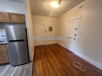 Allston/brighton Border Apartment for rent 1 Bedroom 1 Bath Boston - $2,100