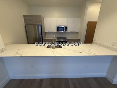 Allston Apartment for rent 2 Bedrooms 2 Baths Boston - $3,600 No Fee