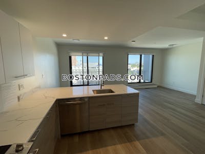 Allston Apartment for rent 2 Bedrooms 2.5 Baths Boston - $4,300 No Fee