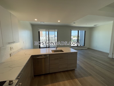 Allston Apartment for rent 2 Bedrooms 2.5 Baths Boston - $4,300 No Fee