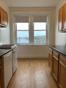 Brighton Apartment for rent 1 Bedroom 1 Bath Boston - $2,295 No Fee