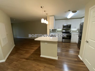 Newton Apartment for rent Studio 1 Bath  Chestnut Hill - $3,010