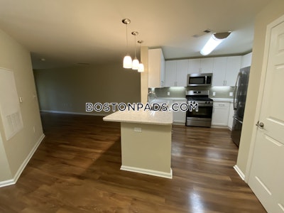 Newton Apartment for rent Studio 1 Bath  Chestnut Hill - $3,010