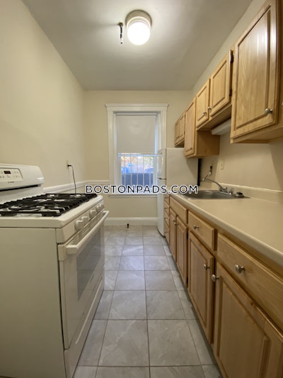 Brighton Apartment for rent 1 Bedroom 1 Bath Boston - $2,400 No Fee