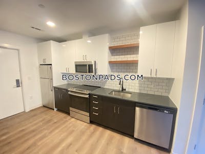 Allston Apartment for rent 2 Bedrooms 2 Baths Boston - $4,251 No Fee