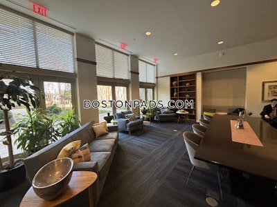Cambridge Apartment for rent 1 Bedroom 1 Bath  Kendall Square - $3,717